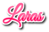 Laras - APlikasi kasir toko penjualan online POS apps by laravel
